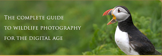 The complete guide to wildlife photography for 
the digital age